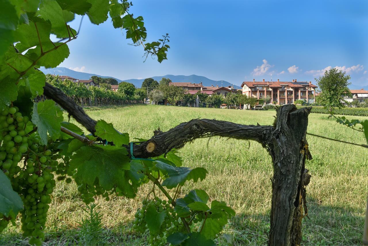 La Terrazza Sulle Vigne B&B Corte Franca Luaran gambar